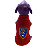 FC dog Athletic  Jersey